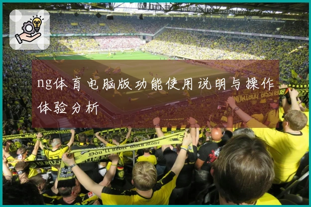 ng体育电脑版功能使用说明与操作体验分析