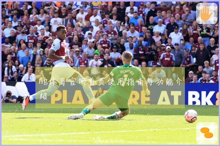 ng体育官网首页使用指南与功能介绍