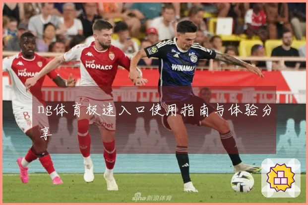 ng体育极速入口使用指南与体验分享