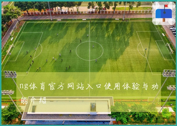 ng体育官方网站入口使用体验与功能介绍