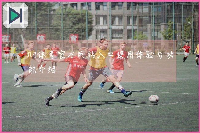 ng体育官方网站入口使用体验与功能介绍
