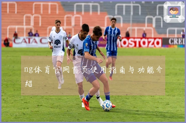 ng体育官网首页使用指南与功能介绍