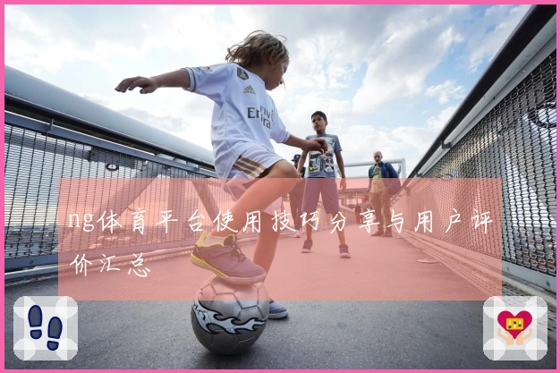 ng体育平台使用技巧分享与用户评价汇总