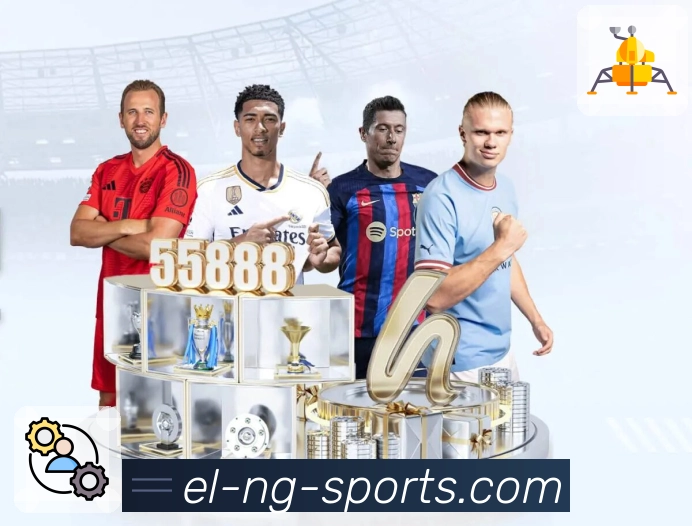 ng体育平台展示图